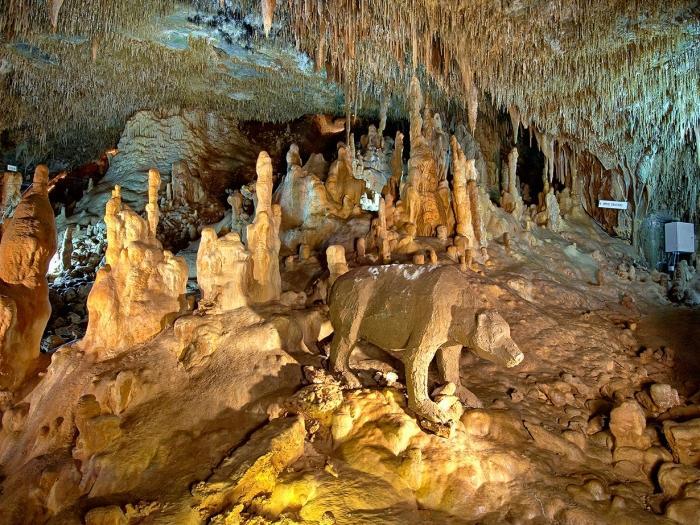 佩特拉罗（Petralona）洞穴